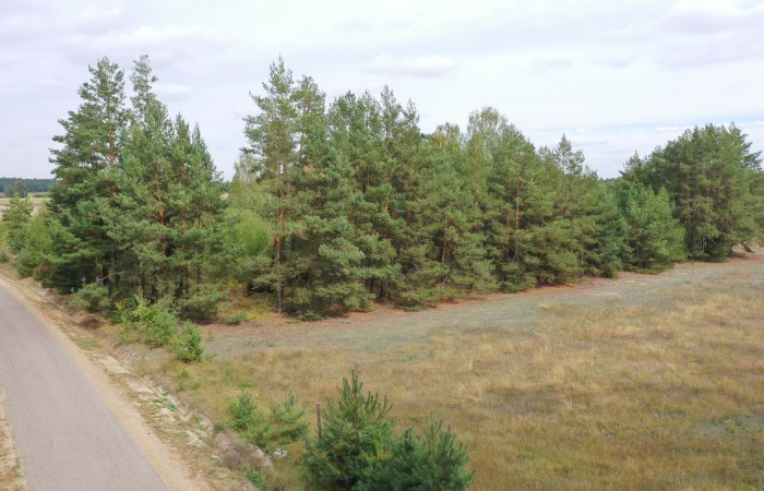 kolneński, Kolno, Gietki, Interesujące działki przy lesie
