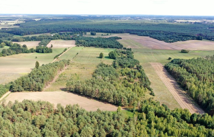 łomżyński, Miastkowo, Osetno, Działki rolne i leśne do wycinki 15,57ha Osetno Drogoszewo Gmina Miastkowo