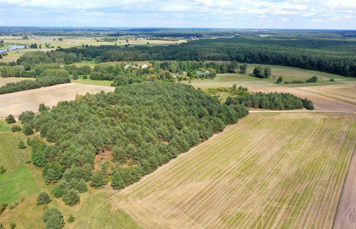 łomżyński, Miastkowo, Osetno, Działki rolne i leśne do wycinki 15,57ha Osetno Drogoszewo Gmina Miastkowo