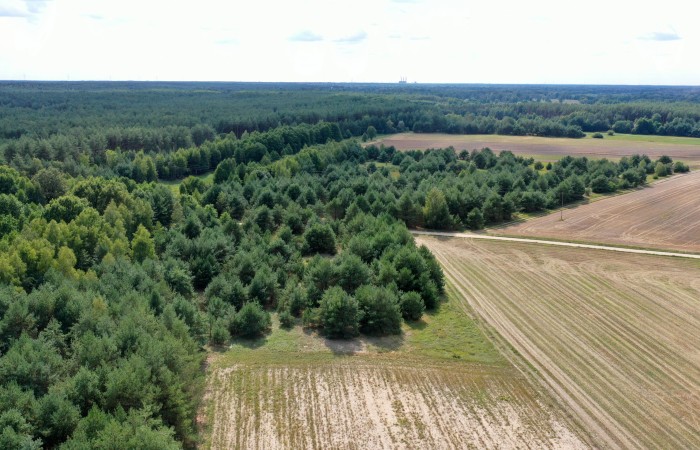 łomżyński, Miastkowo, Osetno, Działki rolne i leśne do wycinki 15,57ha Osetno Drogoszewo Gmina Miastkowo