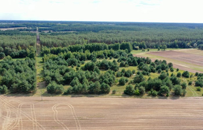 łomżyński, Miastkowo, Osetno, Działki rolne i leśne do wycinki 15,57ha Osetno Drogoszewo Gmina Miastkowo