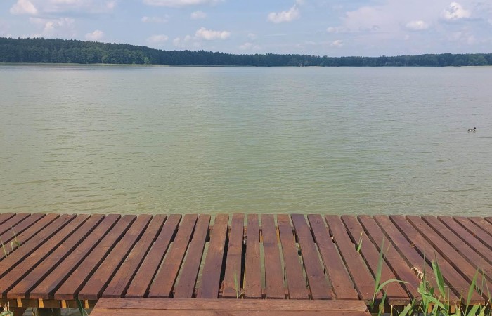 giżycki, Miłki, Jagodne Wielkie, Nieruchomość pod inwestycję/ Agroturystyka