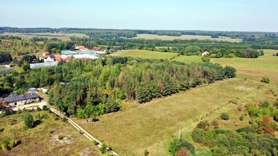 węgorzewski, Węgorzewo, Ogonki, Działka bud Ogonki gm Węgorzewo