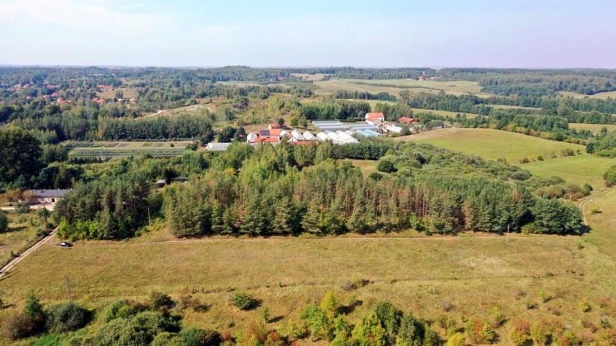 węgorzewski, Węgorzewo, Ogonki, Działka bud Ogonki gm Węgorzewo