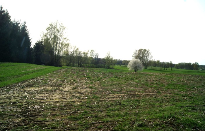 Krzywe, Mrągowo, Działka na sprzedaż