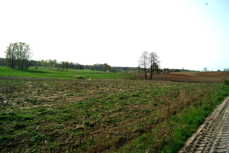 mrągowski, Mrągowo, Krzywe, Działki budowlane na Mazurach, jedyne i ostatnie