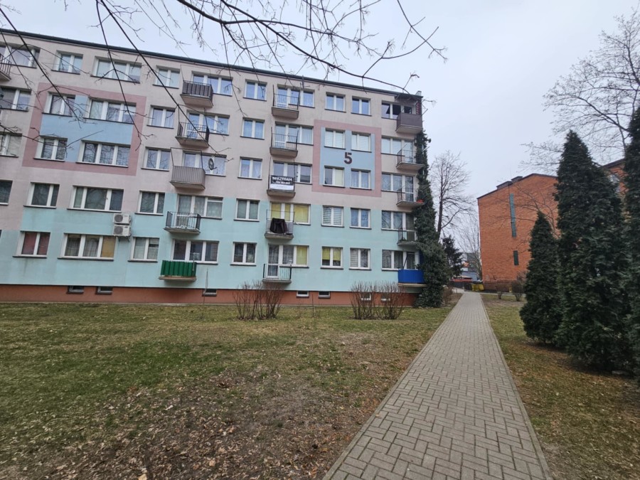 Ostrołęka, 11-go Listopada, Rodzinne mieszkanie w samym sercu miasta