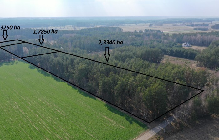 ostrołęcki, Łyse, Szafranki, Na sprzedaż siedlisko w miejscowości Szafranki – 4,444 ha