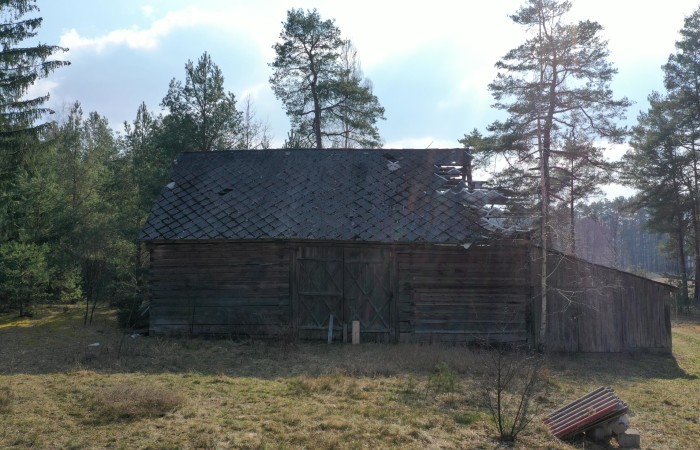 ostrołęcki, Łyse, Szafranki, Na sprzedaż siedlisko w miejscowości Szafranki – 4,444 ha