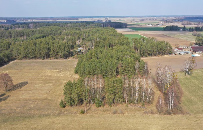 ostrołęcki, Łyse, Szafranki, Na sprzedaż siedlisko w miejscowości Szafranki – 4,444 ha