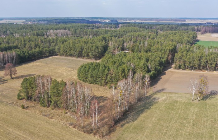 ostrołęcki, Łyse, Szafranki, Na sprzedaż siedlisko w miejscowości Szafranki – 4,444 ha