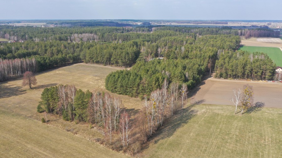 ostrołęcki, Łyse, Szafranki, Na sprzedaż siedlisko w miejscowości Szafranki – 4,444 ha