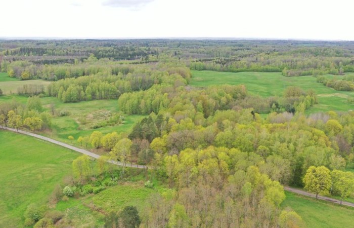 kętrzyński, Kętrzyn, Langanki, Działka Rolna 7,77 ha Langanki