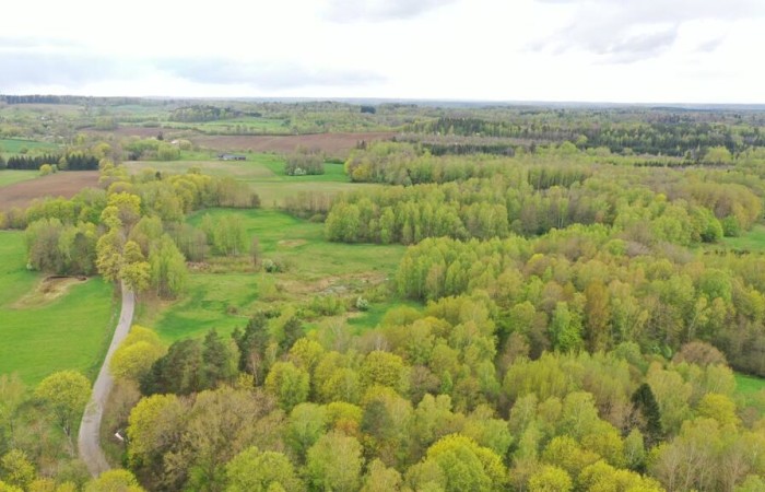kętrzyński, Kętrzyn, Langanki, Działka Rolna 7,77 ha Langanki