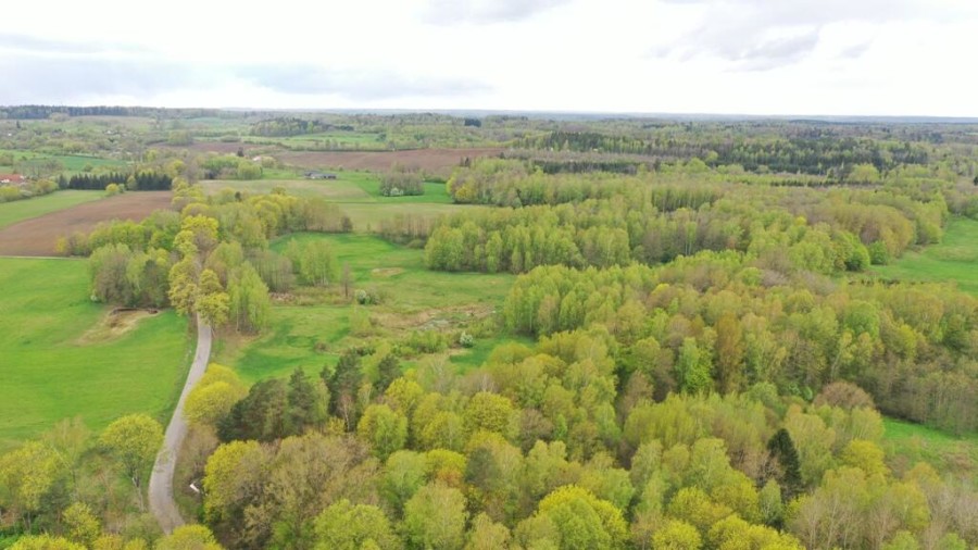 kętrzyński, Kętrzyn, Langanki, Działka Rolna 7,77 ha Langanki
