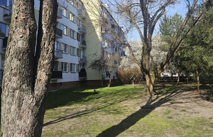 Ostrołęka, os. Henryka Sienkiewicza, 48m2 na drugim piętrze - dostępne od zaraz