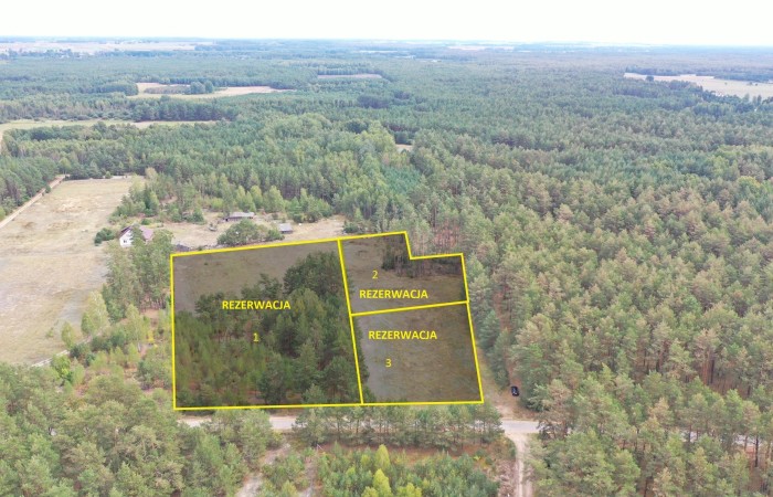 kolneński, Kolno, Gietki, Interesujące działki przy lesie