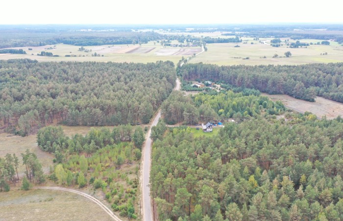 kolneński, Kolno, Gietki, Interesujące działki przy lesie