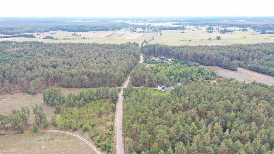 kolneński, Kolno, Gietki, Interesujące działki przy lesie