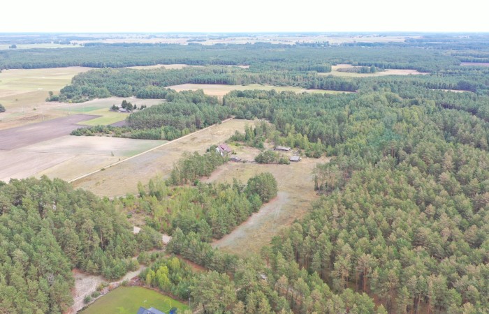 kolneński, Kolno, Gietki, Interesujące działki przy lesie