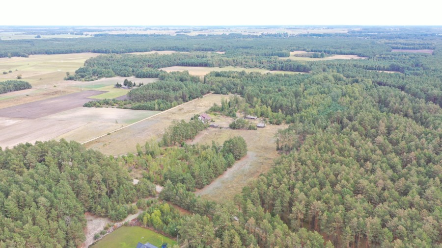 kolneński, Kolno, Gietki, Interesujące działki przy lesie