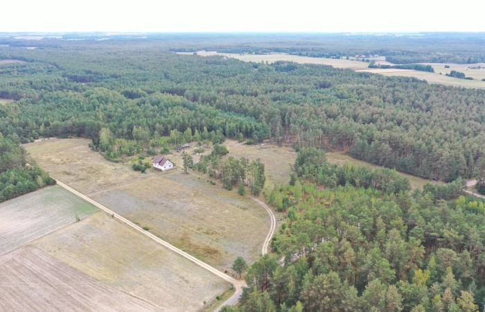 kolneński, Kolno, Gietki, Interesujące działki przy lesie