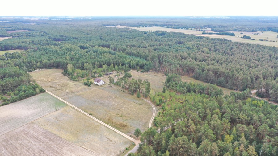 kolneński, Kolno, Gietki, Interesujące działki przy lesie