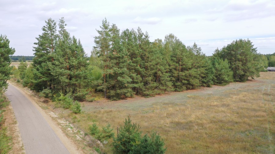 kolneński, Kolno, Gietki, Interesujące działki przy lesie