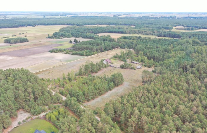 kolneński, Kolno, Gietki, Interesujące działki przy lesie
