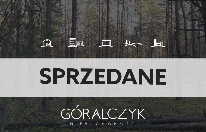 podlaskie, kolneński, Las w miejsc. Kąty gmina Mały Płock powiat Kolno