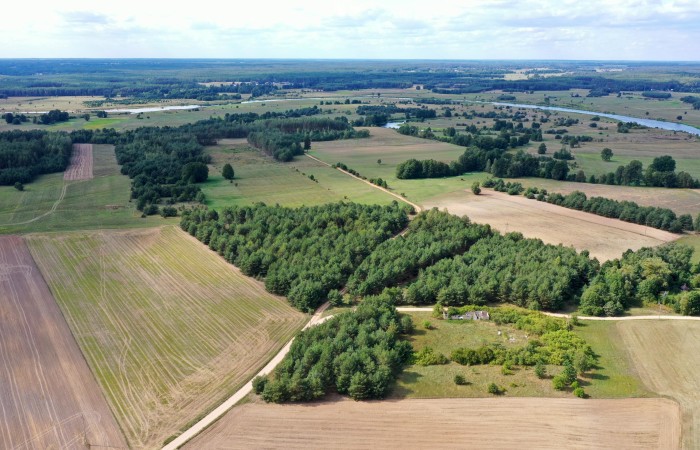 łomżyński, Miastkowo, Osetno, Działki rolne i leśne do wycinki 15,57ha Osetno Drogoszewo Gmina Miastkowo
