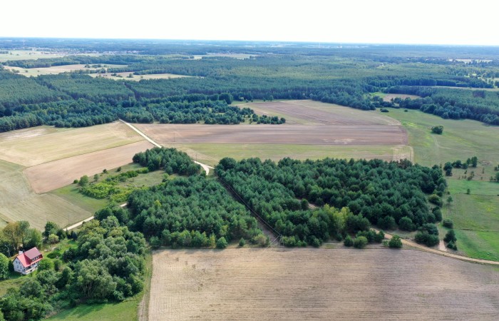 łomżyński, Miastkowo, Osetno, Działki rolne i leśne do wycinki 15,57ha Osetno Drogoszewo Gmina Miastkowo