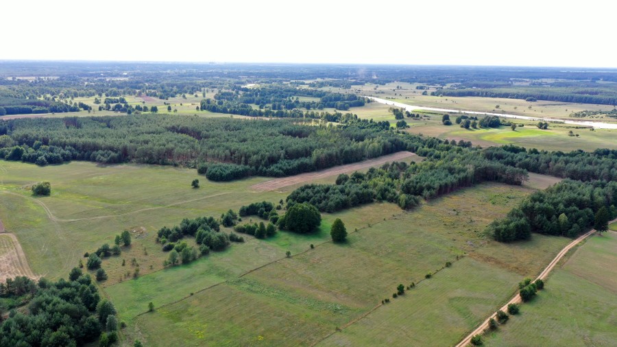 łomżyński, Miastkowo, Osetno, Działki rolne i leśne do wycinki 15,57ha Osetno Drogoszewo Gmina Miastkowo
