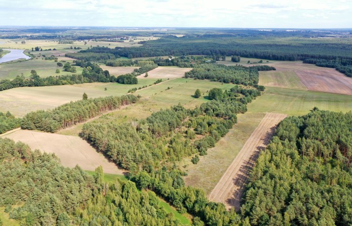 łomżyński, Miastkowo, Osetno, Działki rolne i leśne do wycinki 15,57ha Osetno Drogoszewo Gmina Miastkowo