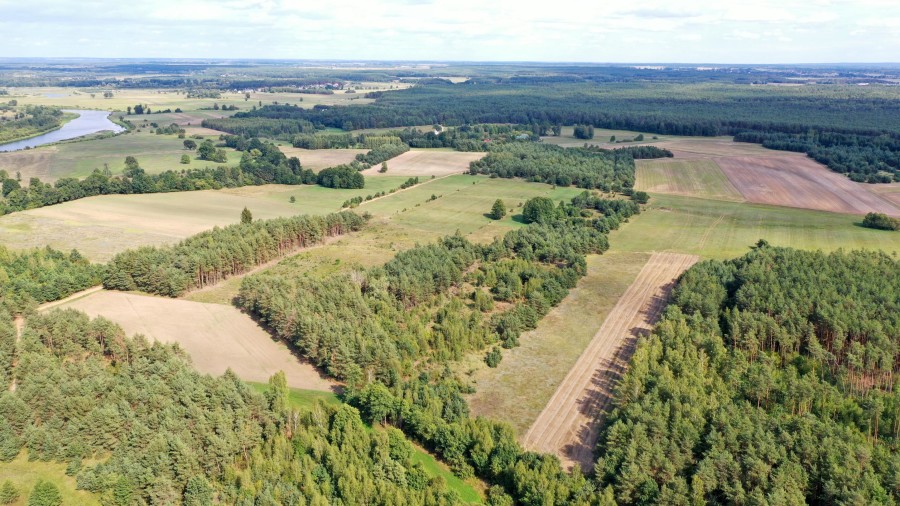 łomżyński, Miastkowo, Osetno, Działki rolne i leśne do wycinki 15,57ha Osetno Drogoszewo Gmina Miastkowo