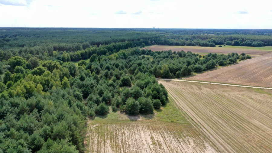 łomżyński, Miastkowo, Osetno, Działki rolne i leśne do wycinki 15,57ha Osetno Drogoszewo Gmina Miastkowo