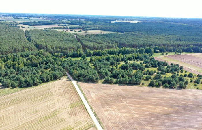 łomżyński, Miastkowo, Osetno, Działki rolne i leśne do wycinki 15,57ha Osetno Drogoszewo Gmina Miastkowo