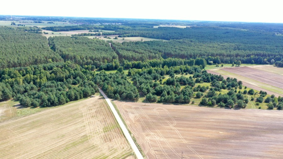 łomżyński, Miastkowo, Osetno, Działki rolne i leśne do wycinki 15,57ha Osetno Drogoszewo Gmina Miastkowo