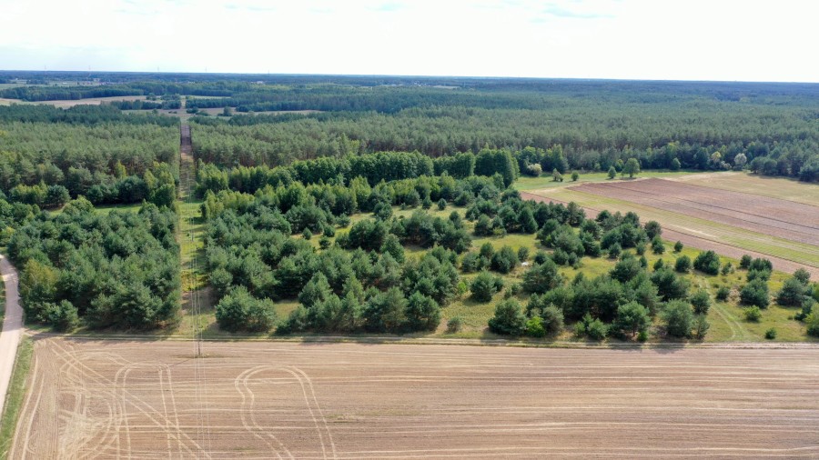 łomżyński, Miastkowo, Osetno, Działki rolne i leśne do wycinki 15,57ha Osetno Drogoszewo Gmina Miastkowo