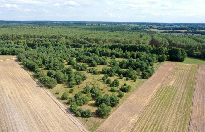 łomżyński, Miastkowo, Osetno, Działki rolne i leśne do wycinki 15,57ha Osetno Drogoszewo Gmina Miastkowo