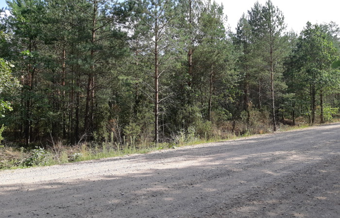 łomżyński, Miastkowo, Osetno, Działki rolne i leśne do wycinki 15,57ha Osetno Drogoszewo Gmina Miastkowo