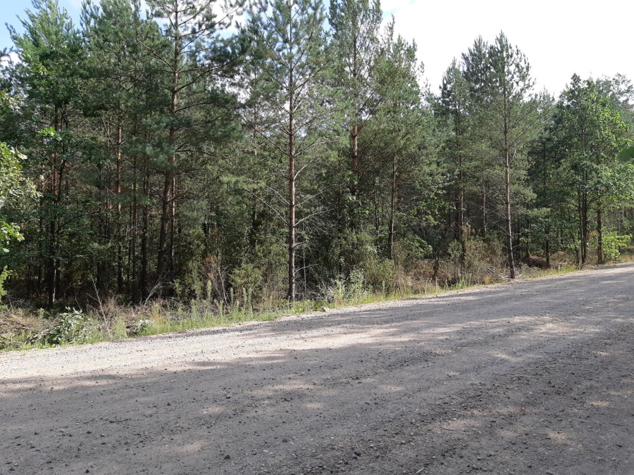 łomżyński, Miastkowo, Osetno, Działki rolne i leśne do wycinki 15,57ha Osetno Drogoszewo Gmina Miastkowo