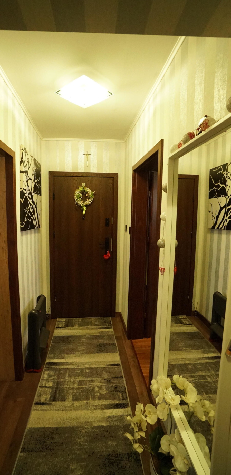 Łomża, Krótka, Słoneczne mieszkanie w centrum miasta