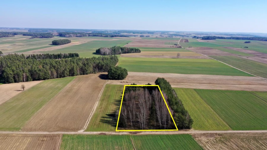 kolneński, Mały Płock, Śmiarowo, Pole i las w miejscowości Śmiarowo gmina Mały Płock