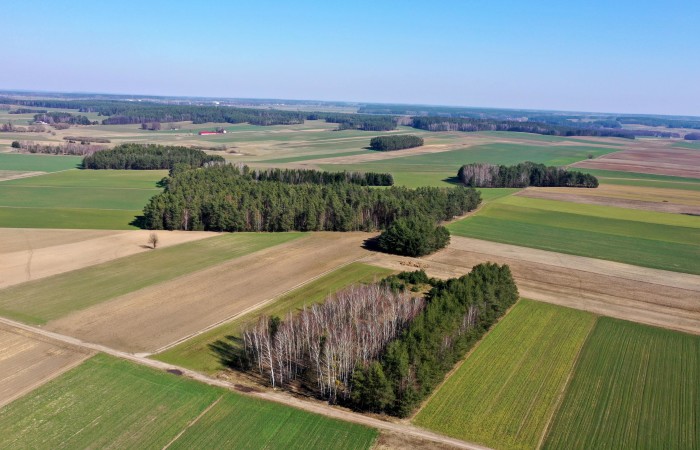 kolneński, Mały Płock, Śmiarowo, Pole i las w miejscowości Śmiarowo gmina Mały Płock