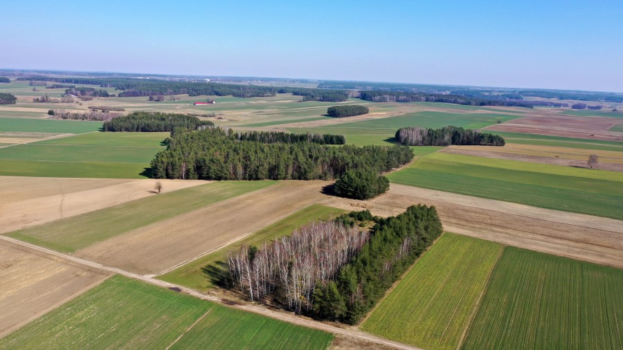 kolneński, Mały Płock, Śmiarowo, Pole i las w miejscowości Śmiarowo gmina Mały Płock