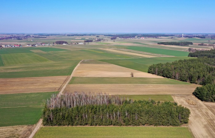 kolneński, Mały Płock, Śmiarowo, Pole i las w miejscowości Śmiarowo gmina Mały Płock