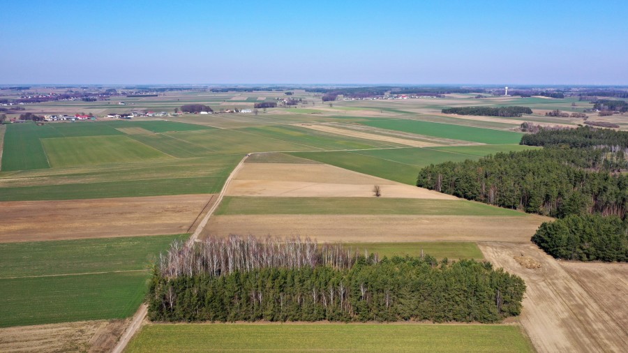 kolneński, Mały Płock, Śmiarowo, Pole i las w miejscowości Śmiarowo gmina Mały Płock