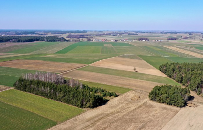 kolneński, Mały Płock, Śmiarowo, Pole i las w miejscowości Śmiarowo gmina Mały Płock