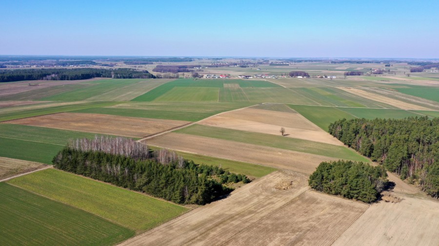 kolneński, Mały Płock, Śmiarowo, Pole i las w miejscowości Śmiarowo gmina Mały Płock